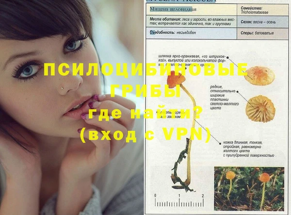 ALPHA-PVP Верхнеуральск