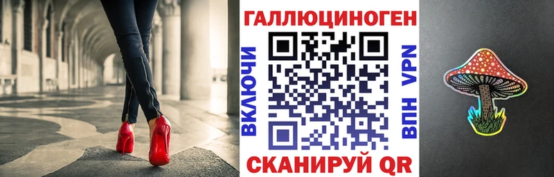 Купить где  Обоянь  Псилоцибиновые грибы GOLDEN TEACHER 